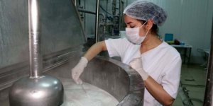 Tonlarca süt kadın eliyle ekonomiye kazandırılıyor