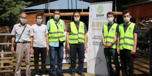 Türk kurumlarından Kuzey Makedonya’da kurban kesimi