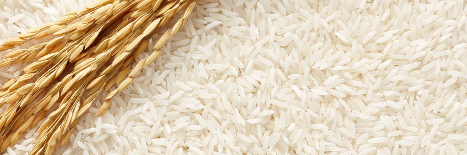 rice-category.jpg