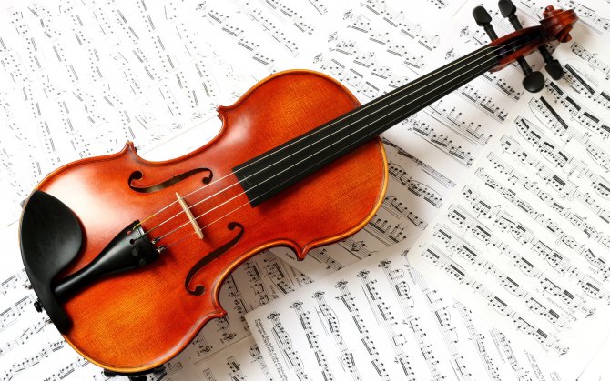 violin-001.jpg